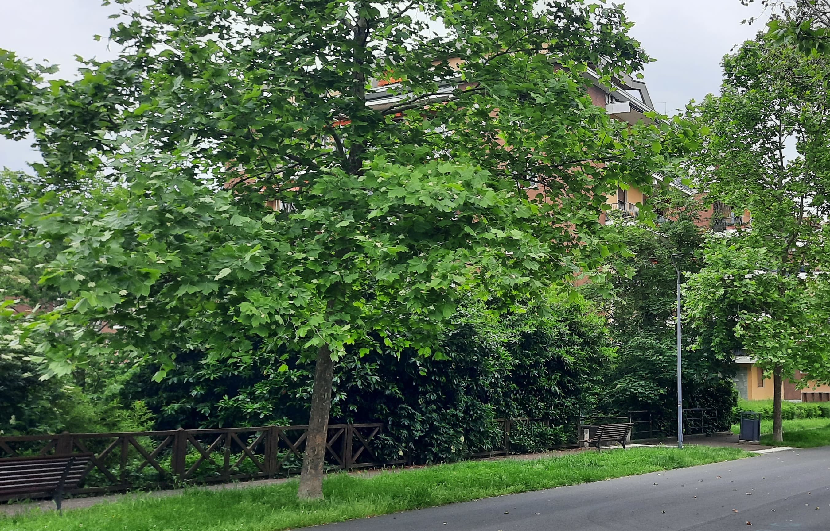 Centro, quartieri verdi o zone in crescita: come scegliere dove vivere