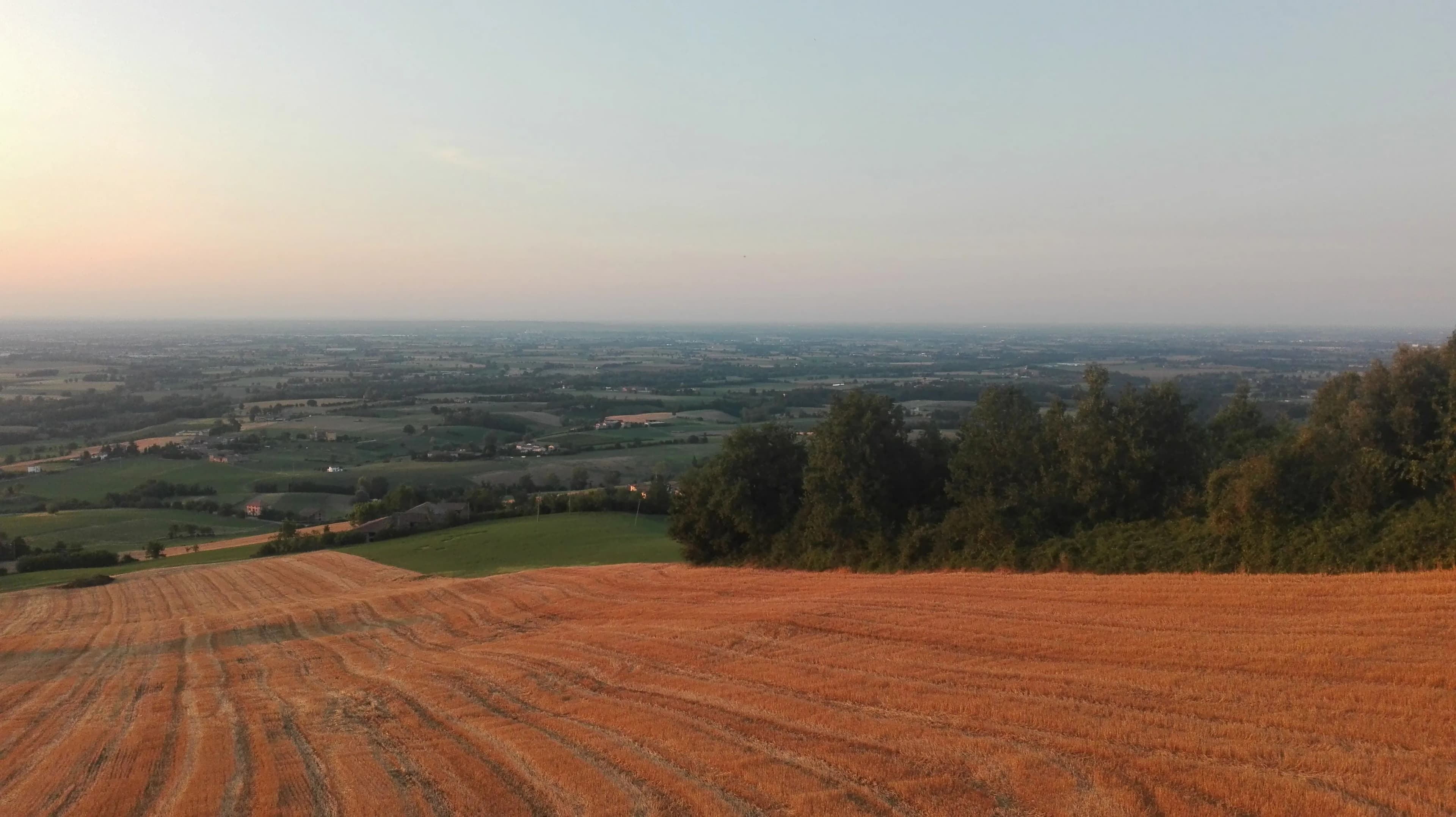 Professional Real Estate Services